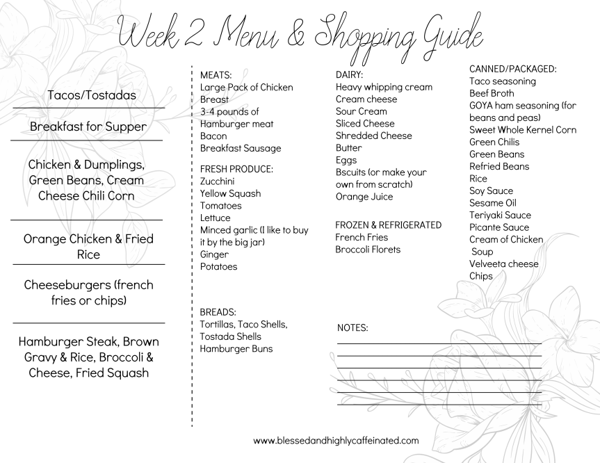 Week 2 Menu Plan and Shopping&nbsp;Guide